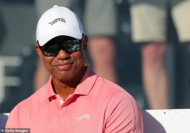 Woods (pictured at Hero World Challenge) will compete in the league in the New Year