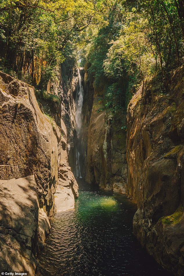 The tourist's body was recovered from the water at Babinda Falls on Monday morning.