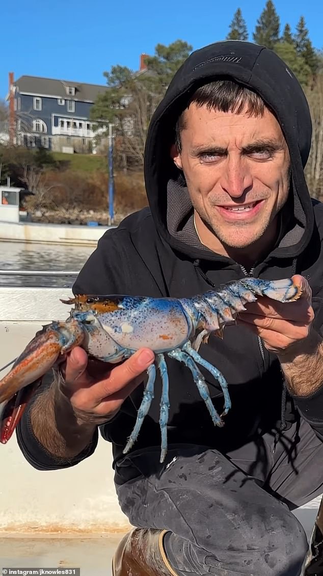 Cancer man Jacob Knowles holds up the gynandromorphic lobster Bowie that his friend found in one of his lobster traps