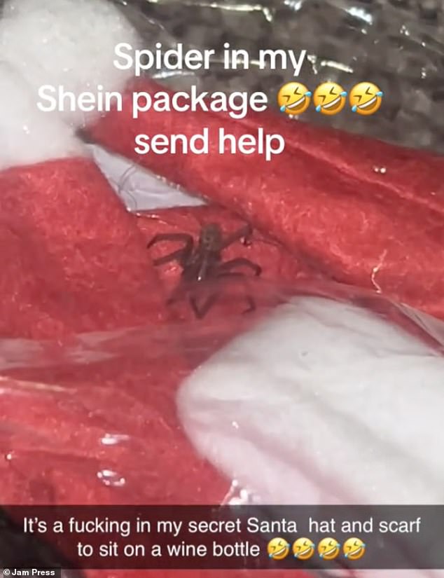 The 22-year-old nurse from Torquay, Devon, was forced to call pest control after she was forced to catch the live arachnid when it emerged from the wrapper.