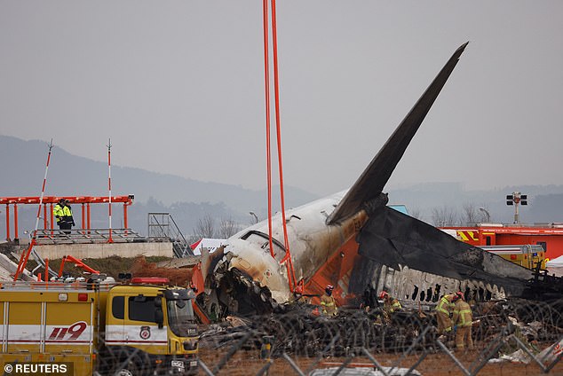 On December 30, a South Korean plane struck a bird, causing it to crash during landing and killing 179 people on board