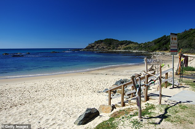 Regional beaches north of Sydney are packed with visitors during the school summer holidays (pictured, Shelly Beach in Port Macquarie during a quieter time of year)