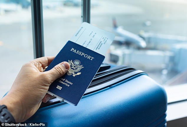 The American couple was traveling interstate to catch their connecting flight to Japan, where they planned to spend a week celebrating the New Year (file image)