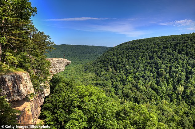 Arkansas is also famous for its landscape of mountains, lakes, rivers, hot springs and forests (pictured: The Hawksbill Crag in Arkansas)