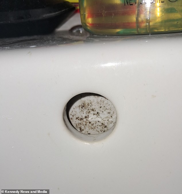 The mold was said to be in the bathroom, bedroom, kitchen and hallways, affecting around the 