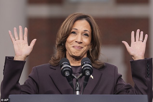 Vice President Kamala Harris shown during her concession speech after the 2024 presidential election on November 6, 2024. Carville said Harris - who he predicted would win the race - lost because she did not address Americans' economic concerns.