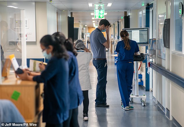 While the number of staff in the health service in England has increased by 10,000 people in a decade, 1,150 fully qualified GPs have left in the same period (File image)