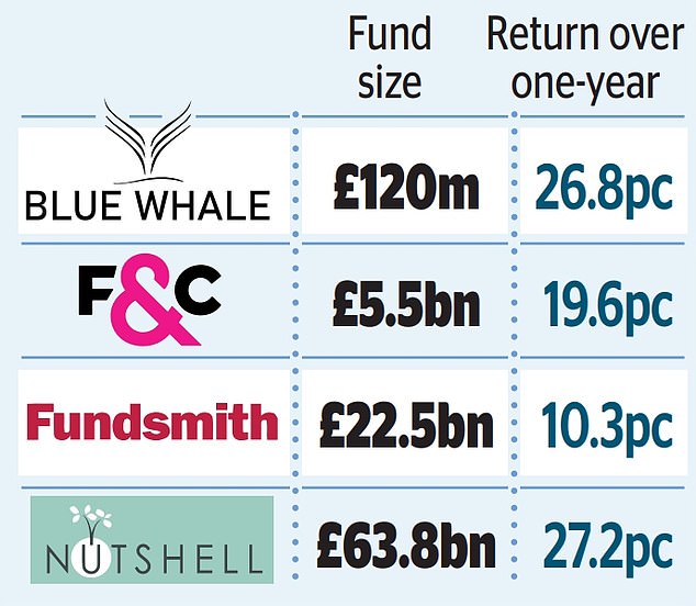 1735943857 23 Global funds like these should be the foundation of any