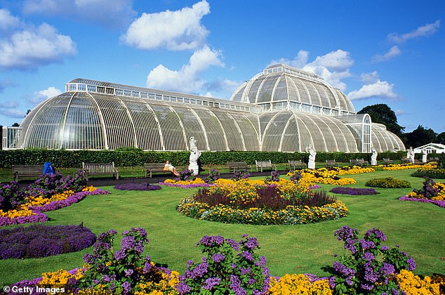 A ticket to Kew Gardens (pictured) cost just 1p (9p in today's money) in 1974, and now its price has skyrocketed, ranging between £12 and £24 per adult.