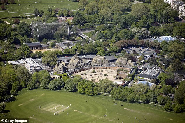 London Zoo (pictured), which previously cost 80p (£7.20 in today's money), costs £27 per person during off-peak periods and up to £33 at weekends, an increase of 358 per cent based on weekend ticket.