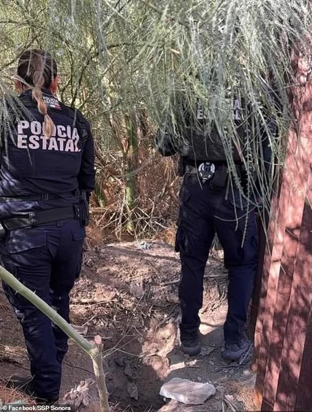 The tunnel, which is incomplete, was found in San Luis Río Colorado, near the border wall. Police believe it was being built to be used as a 'narcotunnel' to bring drugs and potentially people into the US.