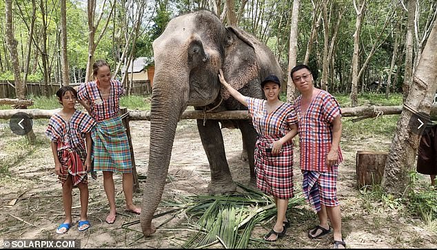 The incident occurred on Friday at the Koh Yao sanctuary on the Thai island of Yao Yai. The image shows tourists posing with an elephant at the elephant care center where García died.