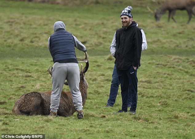 The thugs in tracksuits could be seen grabbing the animal's antlers.