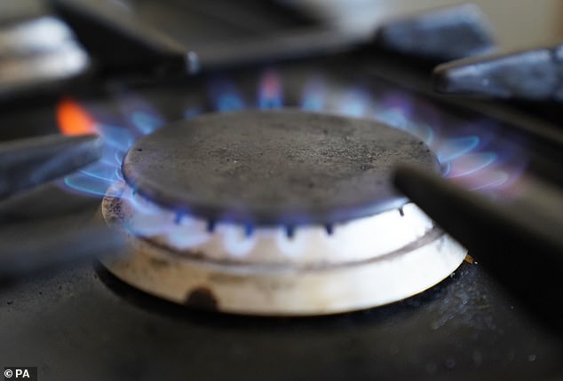 In early 2023, the administration faced fierce backlash for proposing limits on gas stoves, a move that sparked widespread public outcry and accusations of government overreach.