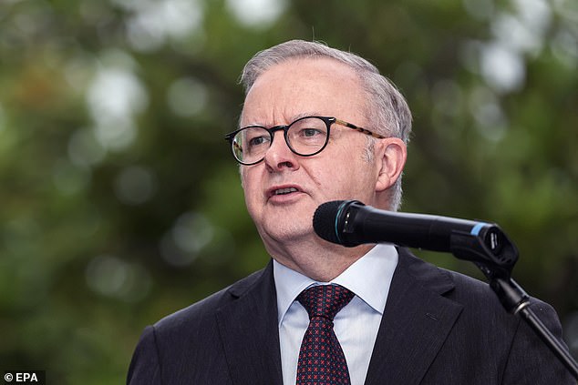 Anthony Albanese (pictured) is expected to announce $7.2 billion in funding to upgrade the Bruce Highway.