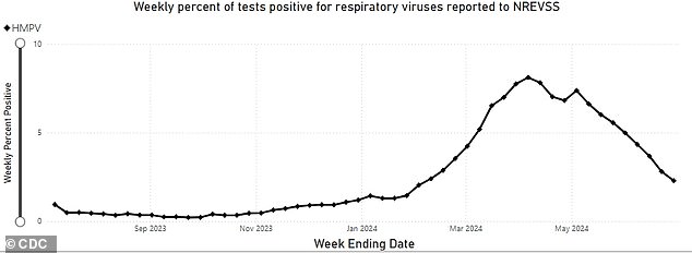 The CDC graph above shows HMPV positive test rates from August 2023 to June 2024. Positive test rates appear lower this time last year.