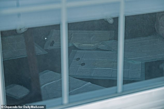 Exclusive photos from DailyMail.com show the inside of Strotman's apartment covered in used training pads after her arrest - sources told DailyMail.com that she 'smelled like a farm' and often spoke about her rescue animals