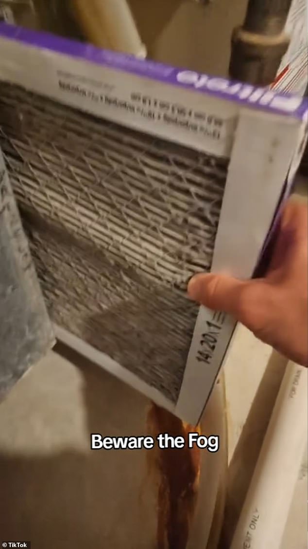 Another TikTok user from North Dakota posted a video showing his home's air filter, which he claimed to have recently changed, full of debris.