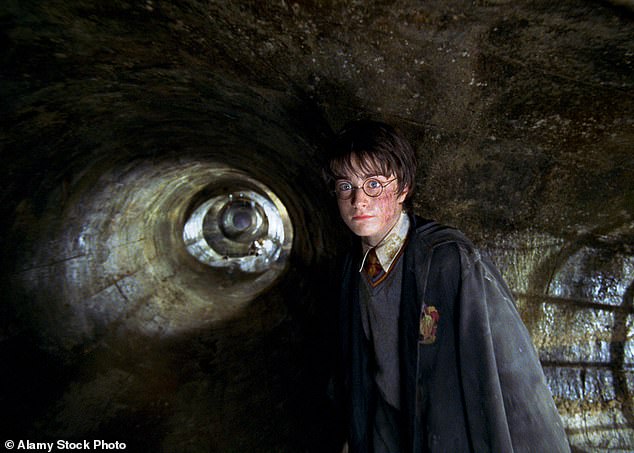 Pratt's impressive body of work includes Harry Potter and the Chamber of Secrets (2002 - pictured)