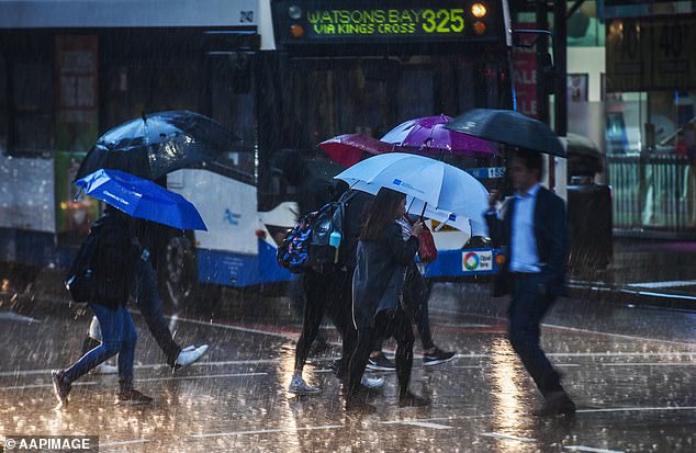 The wet weather is expected to last into the weekend for Sydneysiders.