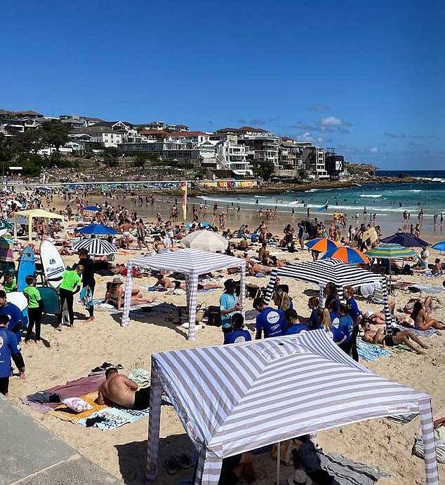 Cool Cabanas have taken over Australian beaches in recent years and have now been condemned by the Prime Minister.