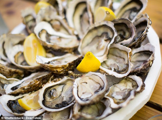 The expert explained that anything in the water – including feces – could end up in the oysters (stock image)