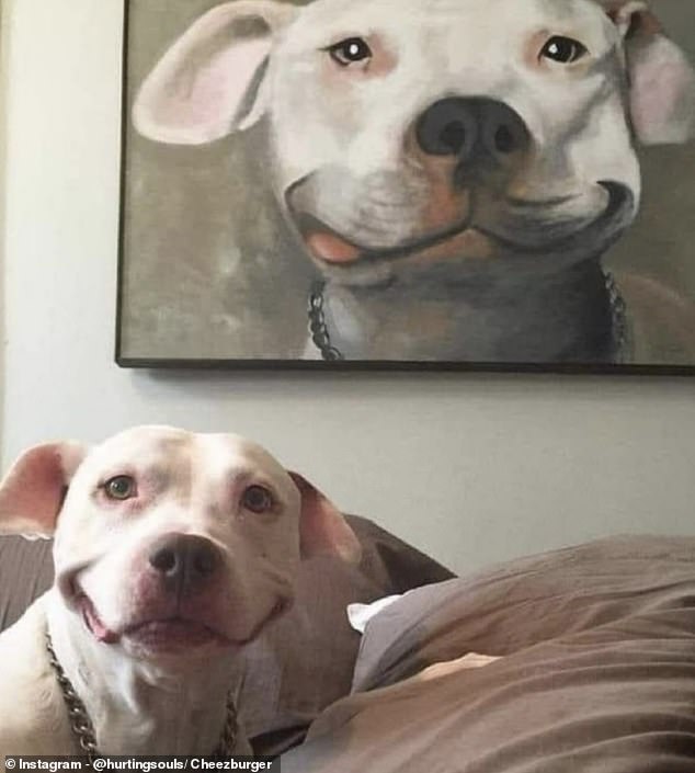 One proud owner had a huge framed painting of his dog on the wall. It's safe to say your dog was pleased with the result...