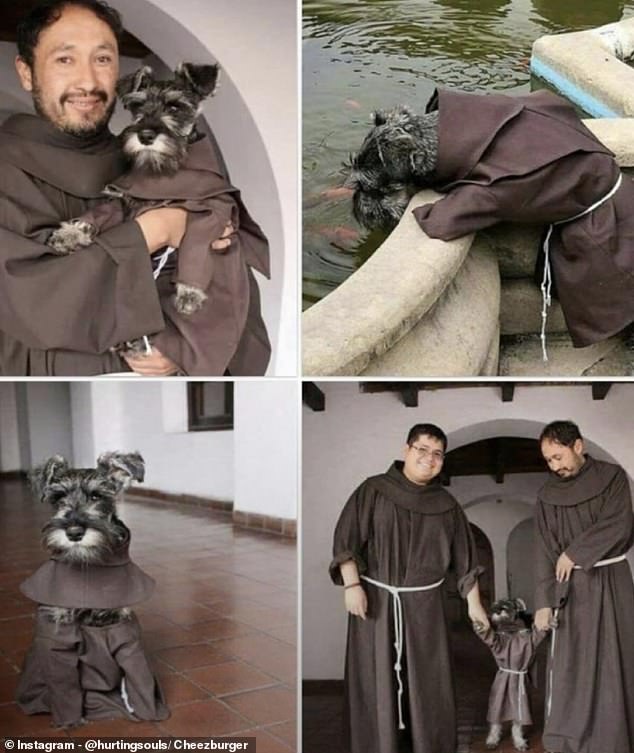 This furry friend found a home after being adopted by a pair of monks. It is now known by the name 