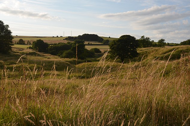 Combining their findings with current research linking lead exposure to cognitive decline, the scientists estimated that lead contamination during this time would have resulted in an average increase in childhood blood levels of about 2.5 micrograms per deciliter. Pictured: Grass-covered mounds mark the site of the Roman-era lead mine at Charterhouse in Mendip.