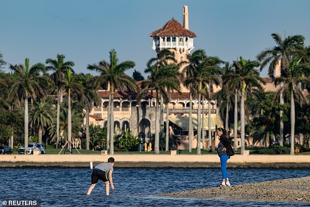 Trump's Mar-a-Lago estate. Since Trump's landslide victory on November 5, Musk has become a near-ubiquitous figure in his West Palme Beach home