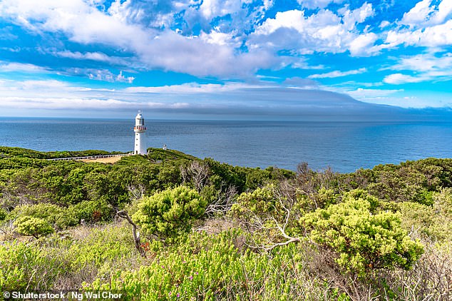 About 100 campers at Blanket Bay campsite in Cape Otway have been isolated due to the fire.