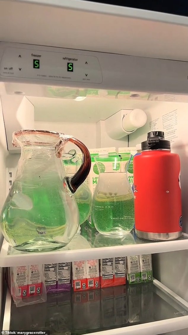 A TikToker from Virginia named @marygracerotter_ shared clips of overflowing jugs, bottles and jars in her refrigerator