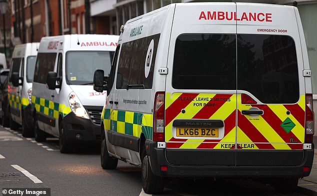 Ambulances are seen parked outside a London hospital on December 27, 2024 in London, England.