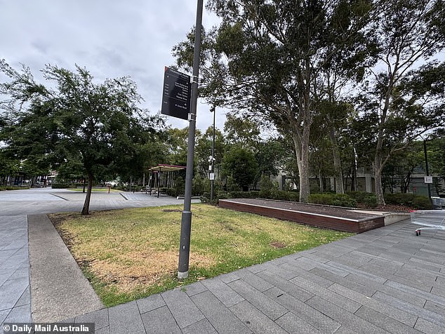 Pictured: Triangle Park, opposite Penrith Plaza, where Gardner has been living in a tent.