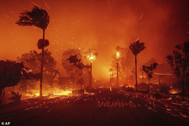 Following her dinner with Kendall, Hailey took to Instagram Story to react to the devastating wildfires currently raging in parts of Los Angeles.