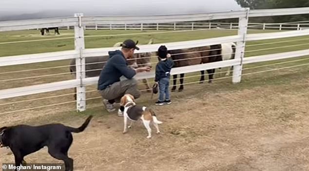 Meanwhile, in another adorable moment, Prince Harry is seen with a young Archie as they walk Guy around the stables, before stopping to pet the horses.