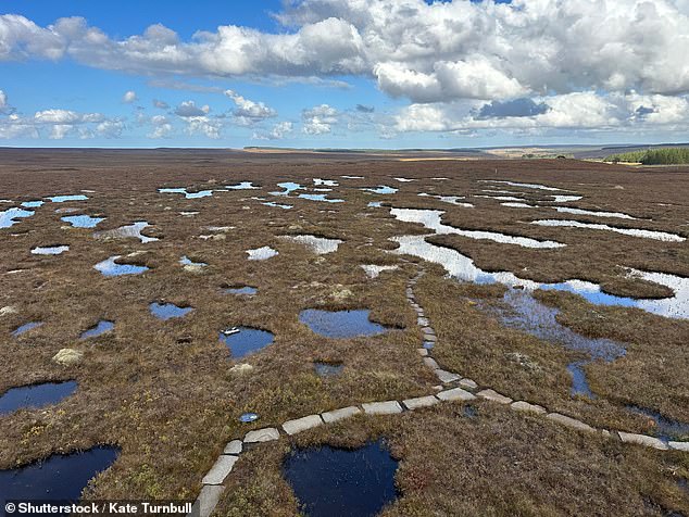 Scotland's Flow Country is the first peat bog recognized by UNESCO. The NYT adds: 'It is one of the largest carbon deposits in the world, making it key to the fight against climate change'