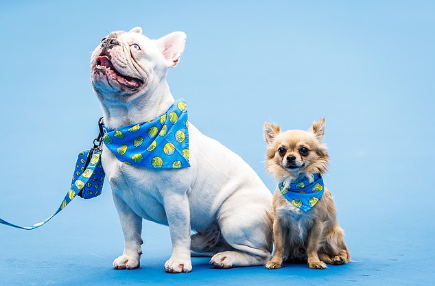 The Australian Open also sells branded dog leashes, bandanas and collars.