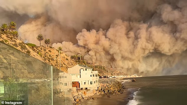 Lee also took images of the huge cloud of smoke rising over the ocean.