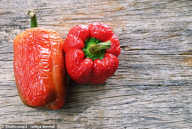 Cold, humid refrigerator conditions cause peppers to become soft and watery.