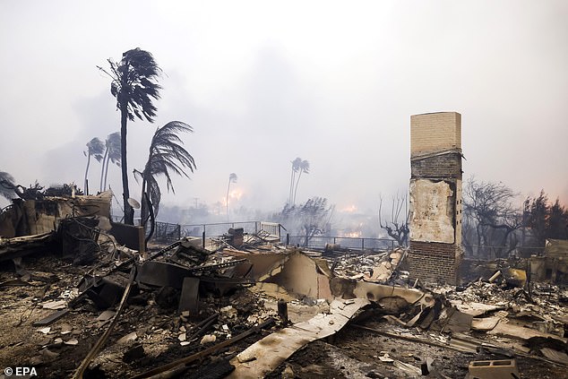 The remains of a house burned to the ground as a result of the Palisades wildfire in Pacific Palisades