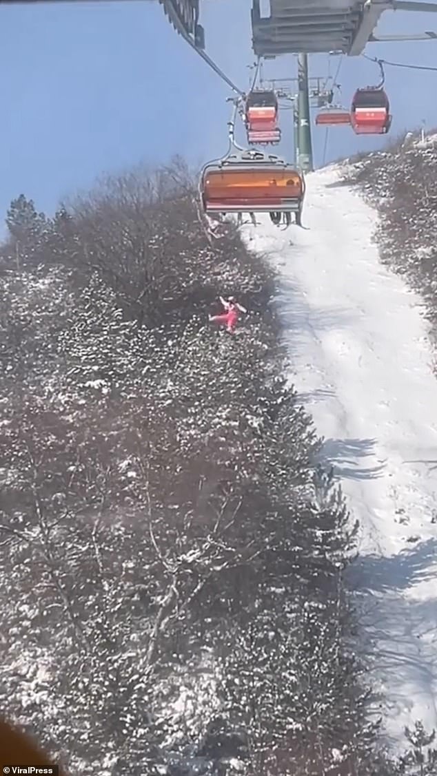 He then launched himself about 40 feet (12 m) into the air toward the snow-covered pine trees below.