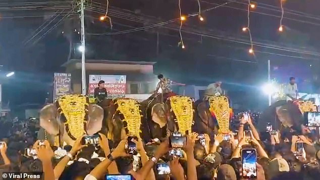 The festival is famous for its impressive elephant processions, where decorated elephants march to the beat of drums.