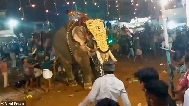 Nearby elephant riders can be seen comforting the distressed animal and removing some of the ornaments it is wearing in an attempt to alleviate its aggression.