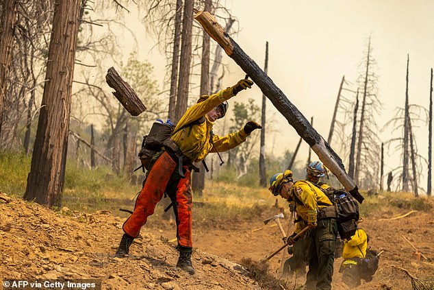 Newsom is accused of neglecting the types of land management that keep fires from starting