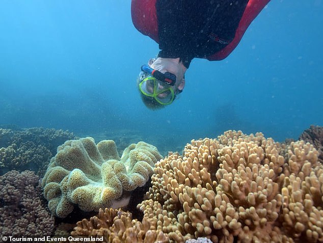 Swimmers can follow the marked trail in Geoffrey Bay to see colorful marine life, including 30-year-old giant clams.