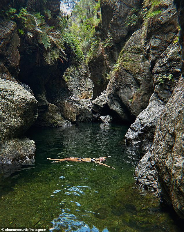 Australian adventure seekers are flocking to the stunning Northbrook Gorge, hidden in the middle of the rainforest, which has stunning emerald green waters and is located just outside of Brisbane.