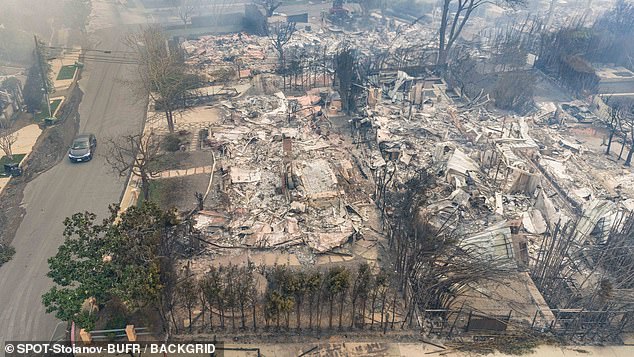 Anna Faris's eco-friendly residence valued at $5 million was completely decimated by the fire