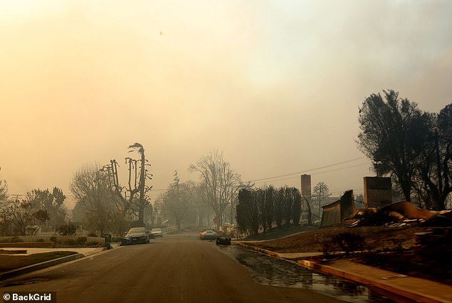 The rest of the street looked like something out of an apocalyptic movie with abandoned cars on the street and only remains of destroyed houses.