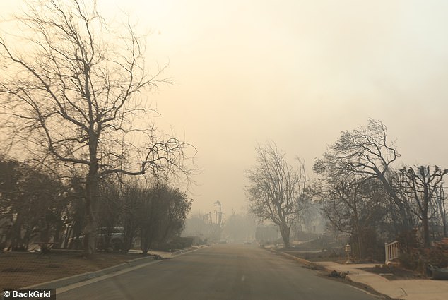 Almost all of the other homes on the It Chapter Two star's street were destroyed in the fires.